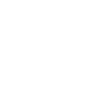 SDT Logo - White - Small