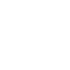SDT Logo Only
