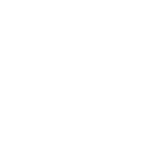 SDT Logo - White - Large